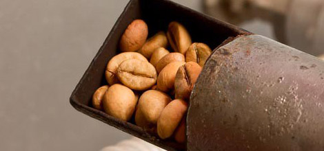 Печени зърна &ndash; По-тъмните изпечени зърна съдържат по-малко кофеин