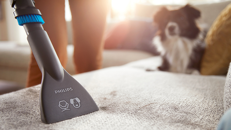 домашни любимци с най-добра помощ