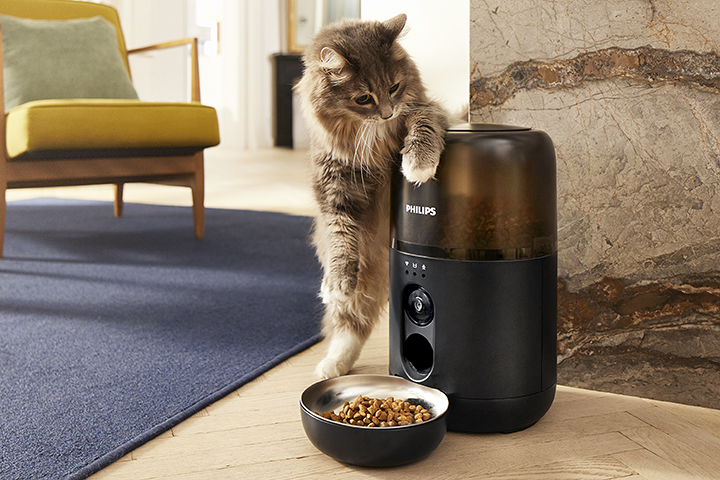 Банер за домашни любимци